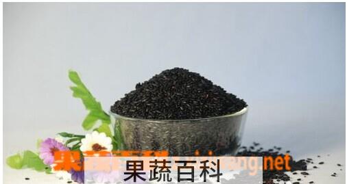 果蔬百科黑大米