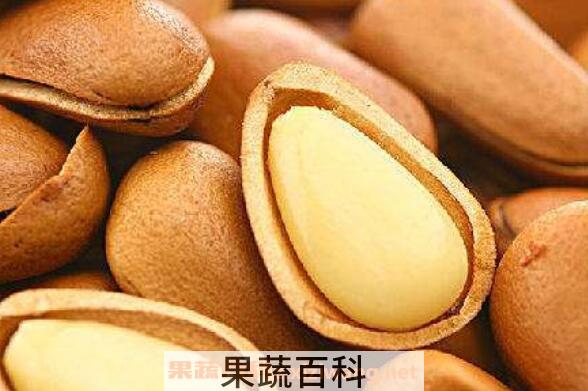 松子粉的功效与作用