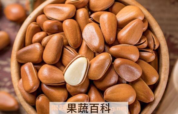 东北松子的功效和作用