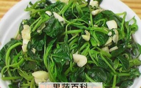 迷糊菜怎样做好吃 迷糊菜的吃法大全