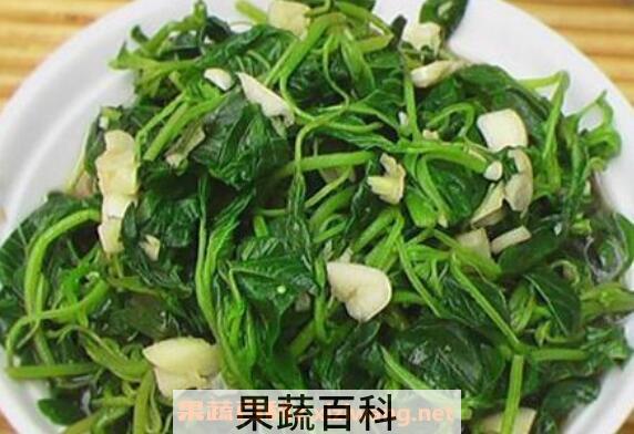 迷糊菜怎么吃 迷糊菜怎么吃好吃