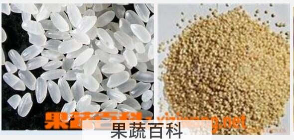 果蔬百科大米和小麦