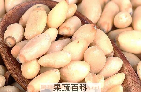 野生红松子的功效与作用
