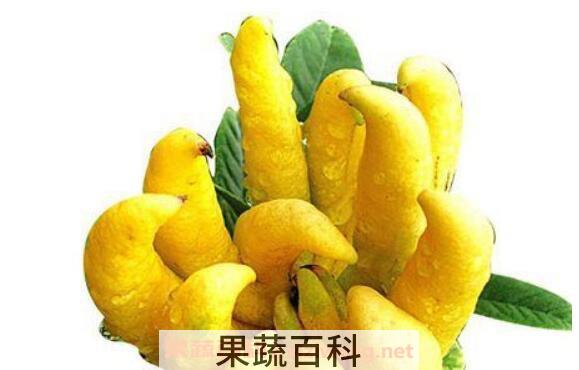 佛手柑泡水喝的功效与作用
