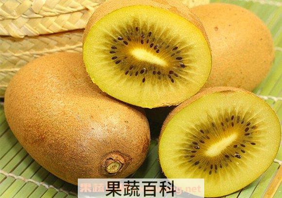黄心猕猴桃