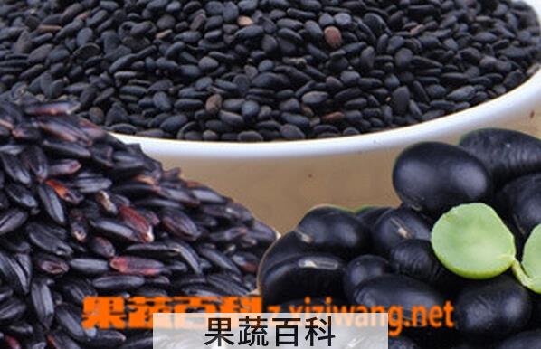 果蔬百科黑米黑豆黑芝麻的吃法