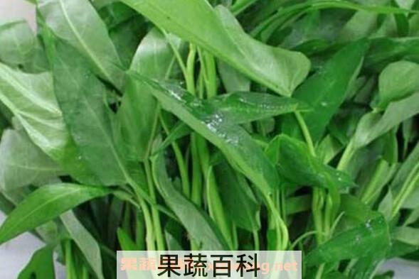 紫花地丁的功效作用 紫花地丁的药用价值