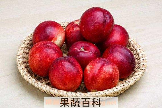 油桃