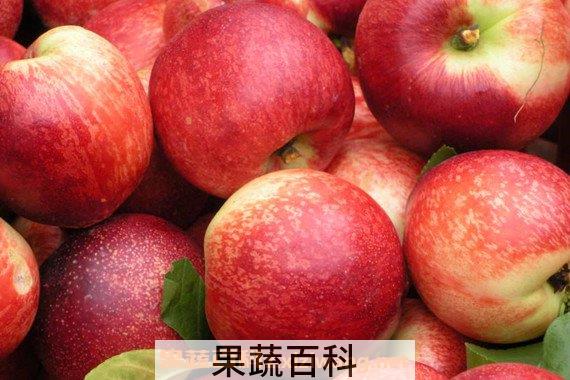 油桃