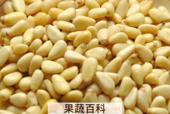 熟松子仁的功效与作用
