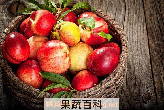 油桃