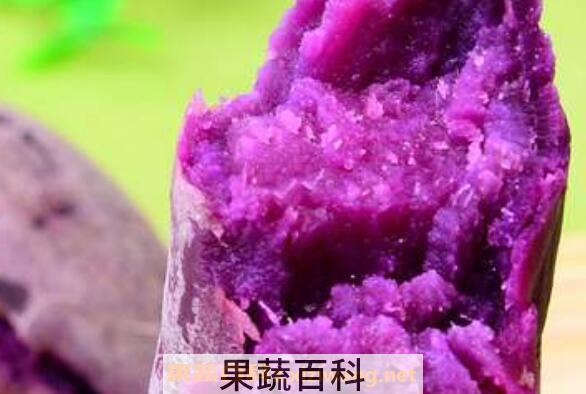 女性为什么不能吃紫薯 吃紫薯的禁忌