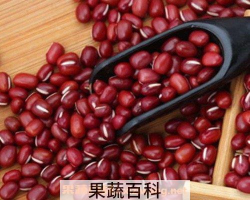 红豆