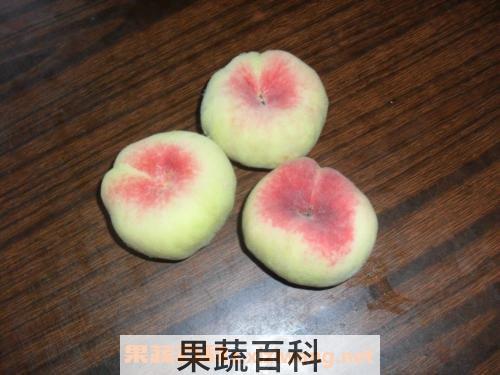  蟠桃