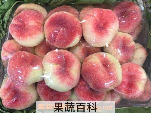  蟠桃