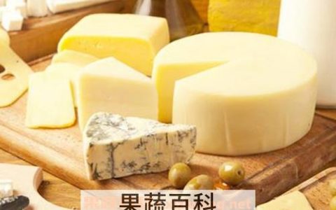 奶酪的功效与作用及食用方法 奶酪的作用和功效