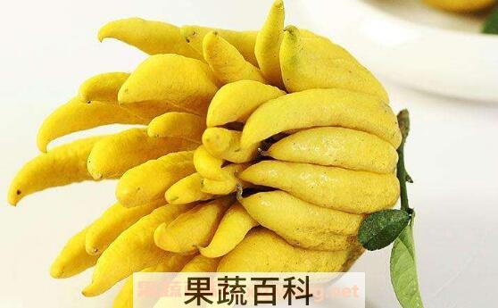 腌制佛手果的功效与作用