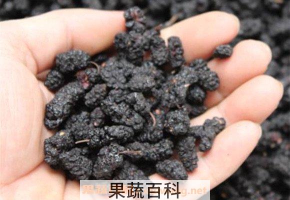 桑葚干