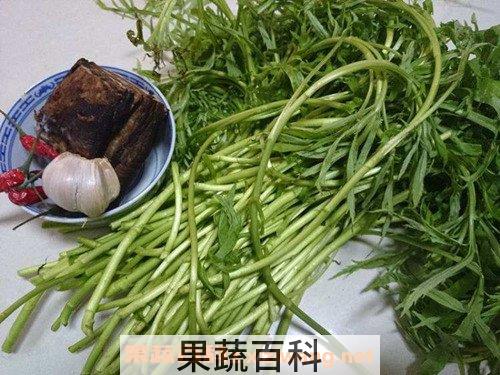 泥蒿