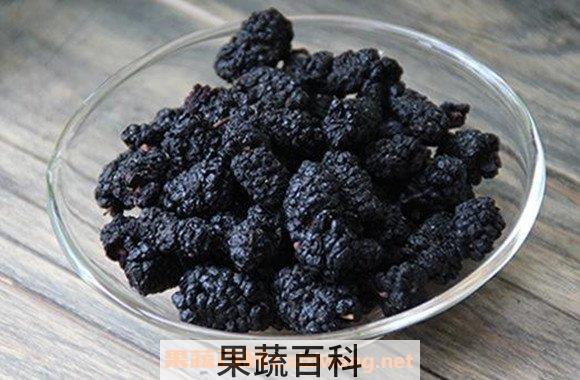 桑葚子
