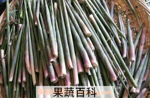 芦竹笋