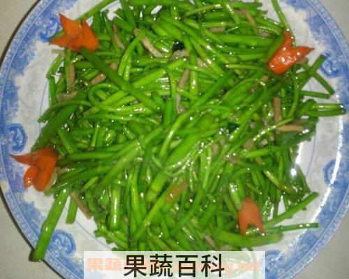 芦篙