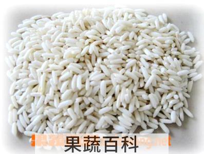 果蔬百科糯米