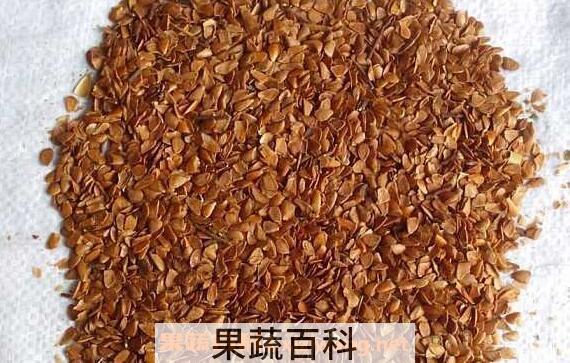 香铃子泡水有什么用 香椿籽泡水的副作用