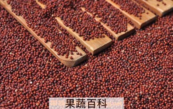 红粟米有什么营养价值 吃红粟米的好处