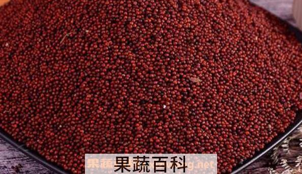 红粟米怎么吃 红粟米的吃法教程