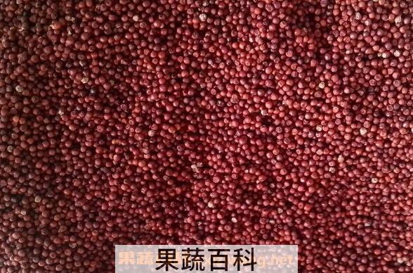 红粟米怎么吃 红粟米的吃法教程