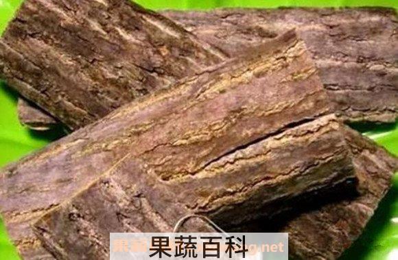 核桃树皮