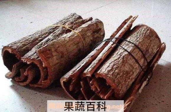 核桃树皮