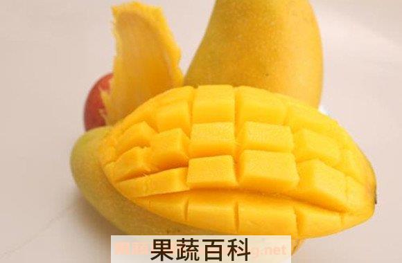 金煌芒