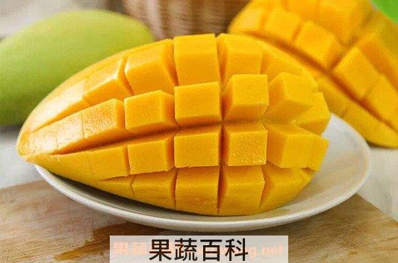 金煌芒