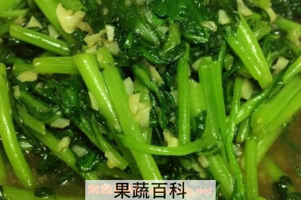 茼蒿