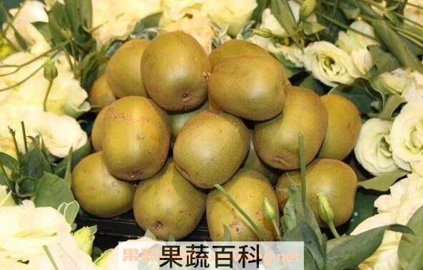 佳沛金果的功效和作用