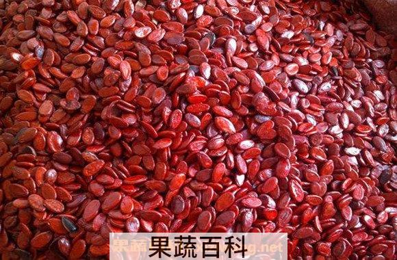 红瓜子