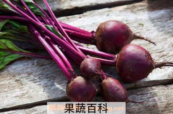 甜菜根怎么吃最好 甜菜根的吃法