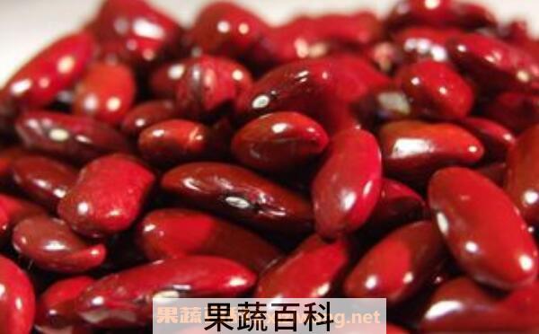 红芸豆怎么煮容易烂 红芸豆快速煮烂小窍门
