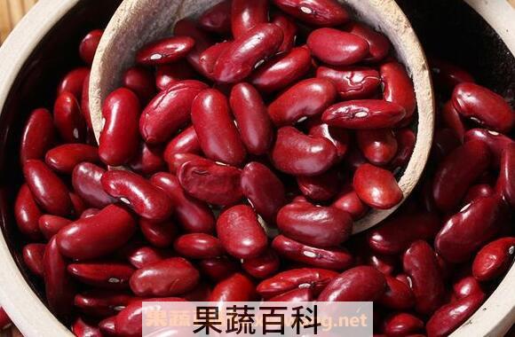 红芸豆怎么煮容易烂 红芸豆快速煮烂小窍门