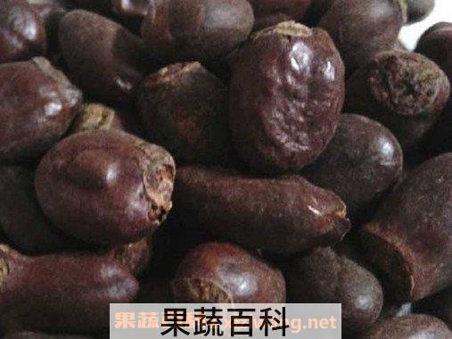 荔枝盐核