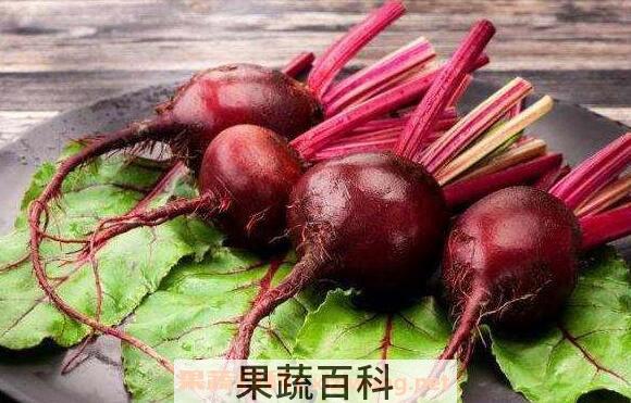 甜菜根榨汁的功效与作用