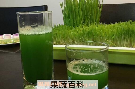 大麦苗汁的功效与作用