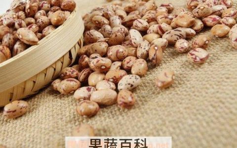 奶花豆怎么煮 奶花豆的做法教程 奶花豆怎么煮 奶花豆的做法教程视频