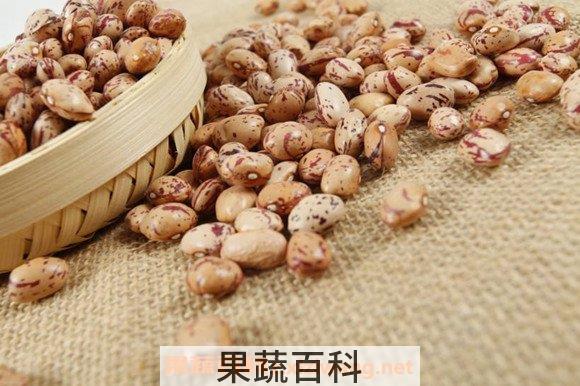 奶花豆