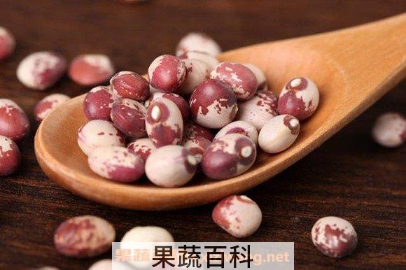 奶花豆