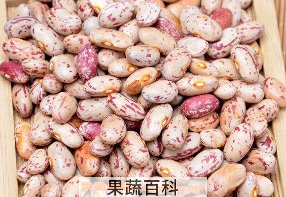 奶花豆
