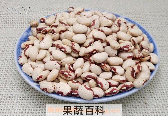 奶花豆