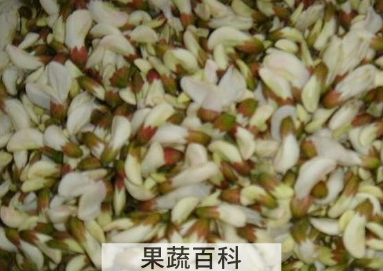 果蔬百科槐花的药用功效
